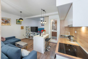 Modern studio apartment Lučić